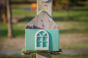 old bird house