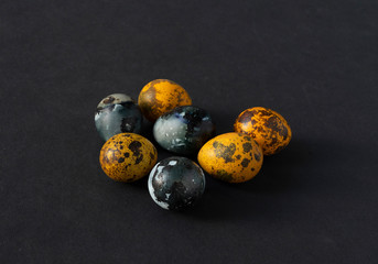 Colored quail eggs on a black background. Orange and blue eggs on dark background.