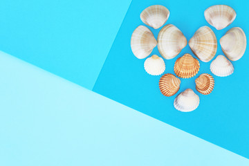 The heart made with seashells on the bright color block background. Blue background. Flat lay, top view. Abstract. World ocean day. Copyspace