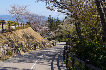 Fototapeta premium 静岡日本平のテラス