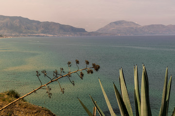 Balestrate, Sicily. Coastline landscape with inclined agave in the foreground. In the background sea, sky and mountains.  Beautiful postcard from Italy.