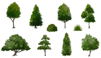 collection of  watercolor trees side view isolated for landscape plan - obrazy, fototapety, plakaty