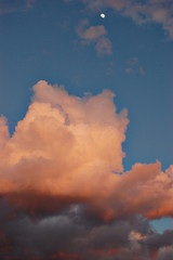 Pink clouds