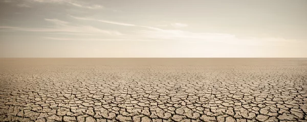 Fototapeten Panorama of dry cracked desert. Global warming concept © scharfsinn86
