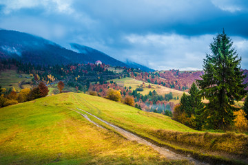 Fototapeta na wymiar View of lush colorful valley with road and trees. Mounting path on hillside meadow with blue sky on background. Concept of nature beauty.