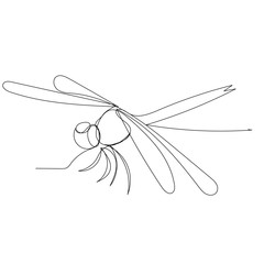 vector, white background, dragonfly continuous line drawing, sketch