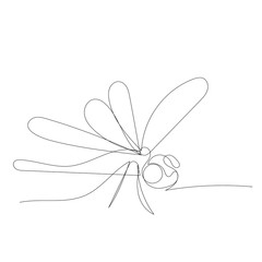 dragonfly continuous line drawing, sketch