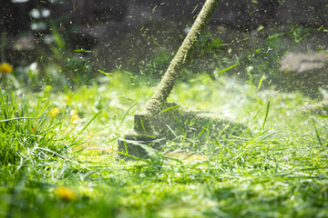 A lawn mower is cutting green grass