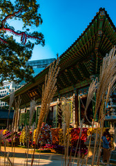 Fototapeta premium Seoul Korea