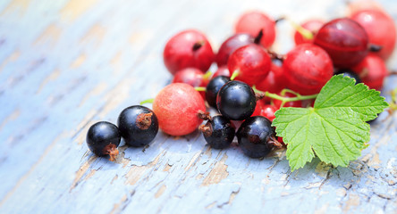 Macro fresh organic red and black currants, raspberries, gooseberries on a wooden aged background. Place for text. Vitamins and antioxidants. Vegan, vegetarian and clean food concept.