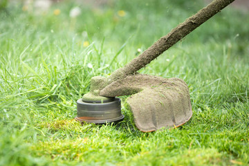 Fototapeta premium A lawn mower is cutting green grass