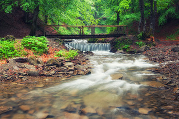 A picturesque wooden bridge across a stream in the middle of a deciduous green summer forest. Crossing a small river. Spring season.