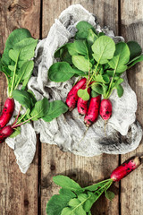 Fresh bright summer radishes from the garden and garden on a wooden background. Harvest