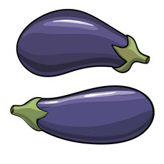 Vector. Aubergine. Eggplant on the white background