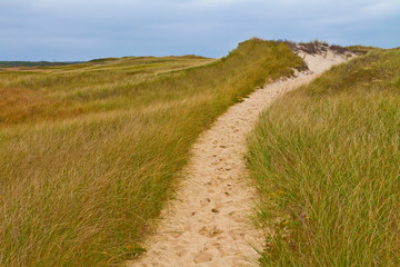 Trail Through The Sand Dunes From Philbin Beach, Aquinnah, Massachusetts, USA