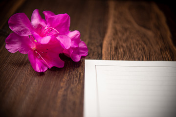 Fototapeta premium 花と手紙