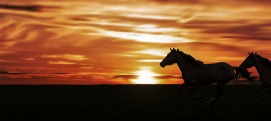 Fototapeta na wymiar silhouette horses running in field against landscape at golden sunset.