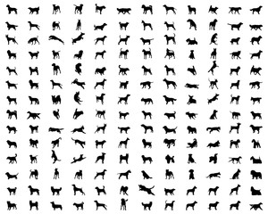 Black silhouettes of different breeds of dogs on a white background
