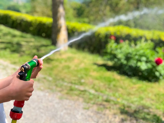 sprinkler spraying water. Hands watering garden with sprinkler on sunny day. 