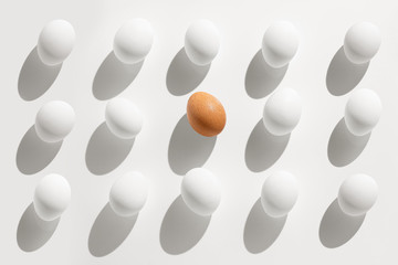 chicken eggs on a white background.