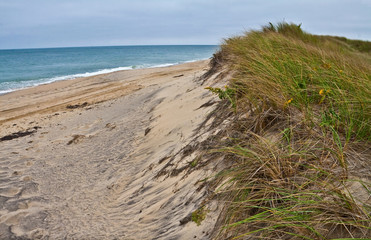 Fototapeta na wymiar Sand Dunes on South Beach Near Katama, Martha's Vineyard,Massachusetts, USA