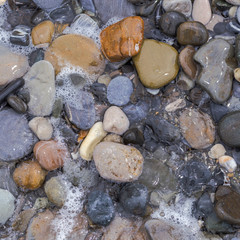 sea pebbles on a rocky beach in Sunny summer day