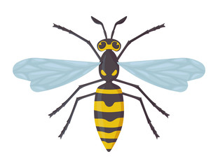 Detailed wasp isolated on white background. Insect,hornet, dangerous concept. Stock vector illustration in flat cartoon style.