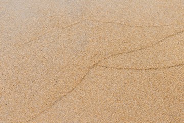 Fototapeta na wymiar Closeup fine sand beach background, nature sand texture, wave pattern on the beach, outdoor day light
