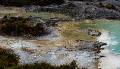 wai-o-tapu