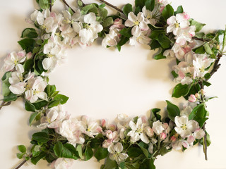 Spring flower background. Frame with apple blossoms. Top view