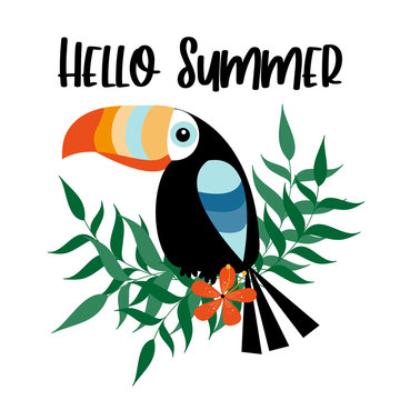 Hello Summer text with colorful Touchan bird and palm leaves.
Good for greeting card, poster, cover, and gift design.