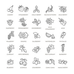 Berries icon set. Vector illustration in modern flat style