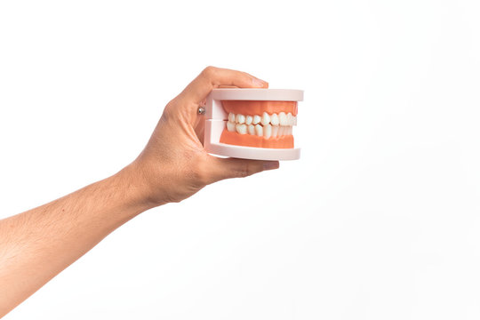 Hand of caucasian young man holding plastic denture teeth over isolated white background