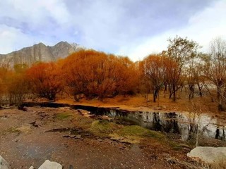 autumn in the mountains. 