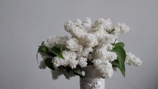 white flowers bouquet of white lilacs in a vase