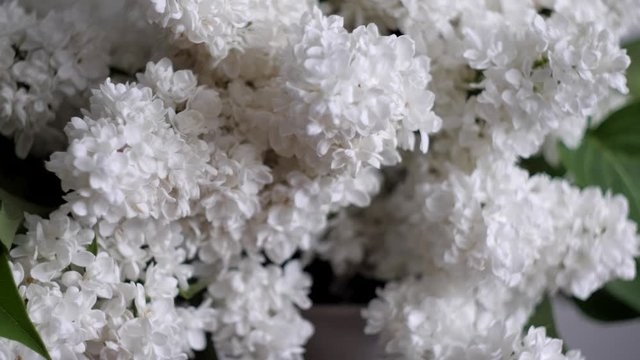 close up bouquet of white lilacs