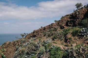 Woman runs cross country on a path in mountain path at Canary Island. Ocean view
