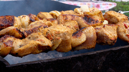 pork skewers on a plate. cooked meat with onions.. meat with spices.
