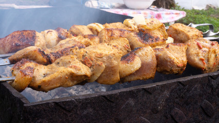 pork skewers on a plate. cooked meat with onions.. meat with spices.