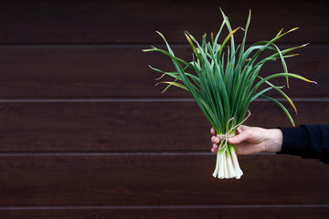 Bunch of fresh garlic tied with rope in hands on dark brown background. Healthy food, vitamins