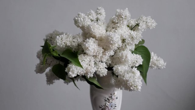 bouquet of white lilacs in a vase rotating