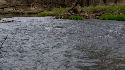 spring flood on the river.fast little rivers.
