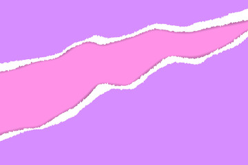 Ripped paper. Vector of ripped paper. The paper was ripped background.