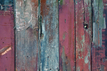 Texture of old wooden boards covered in blue, pink, gray paint. Vertical boards
