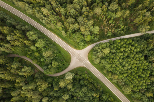 Street Intersection In Forest From Above