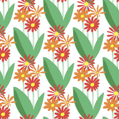 Coreopsis orange red flowers isolated on white background