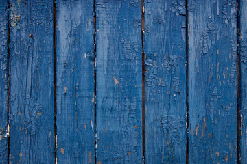 Texture of old wooden boards covered in blue paint. Color of year Classic Blue