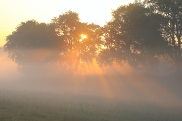 morning fog at dawn. sunrise. sun rays at dawn.