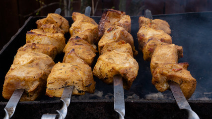 cooking pork skewers on the grill. meat with spices.