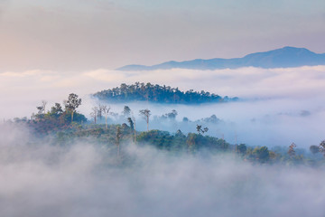 Beautiful clouds and fog coverage mountain valley in the morning colorful, Chiang Dao, Chiang Mai province, Thailand © Anukool